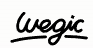 Wegic